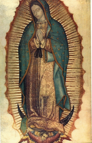 English Selective Spectrum Photographic Developments of The Virgin of Guadalupe Tilma discovered in 1531 Photo credit Wikipedia