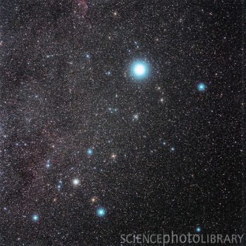 Constelación Can Mayor con estrella Sirio