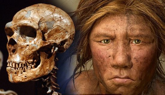 Hibrido Neandertal y Homo sapiens